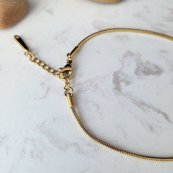 Gold color stainless steel anklets flat snake adjustable - Picture 5 of 6